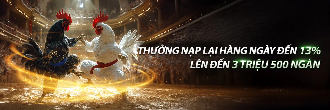 Hình ảnh đại diện Chính sách bảo mật của so5cc trang chủ chính thức